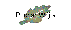 Puchar W�jta
