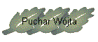 Puchar W�jta