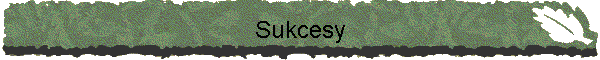 Sukcesy