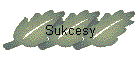 Sukcesy
